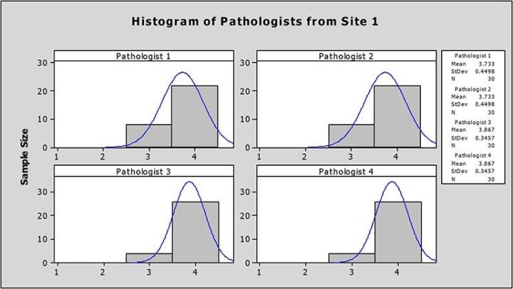 Graph showing image quality scores and range of scores per pathologist at Site1