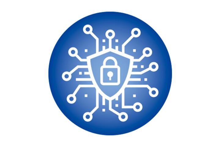 CytoInsight GSL Software provides additional functionality and cybersecurity