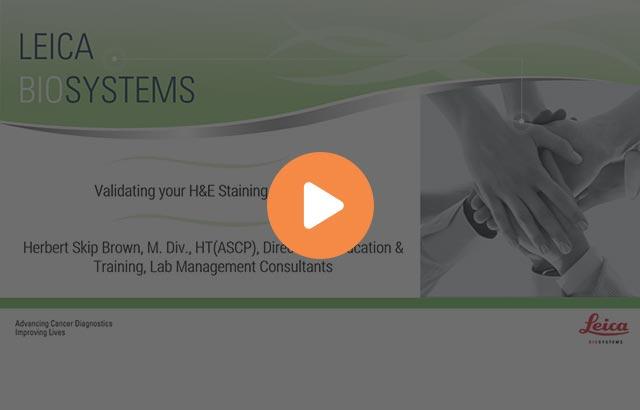 validating-your-he-staining-systems-640x410