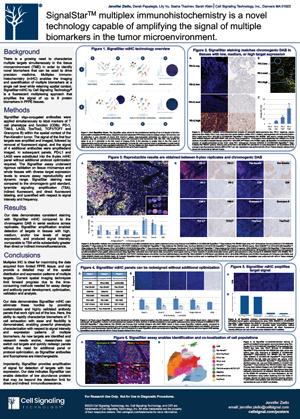 SignalStar-multiplex-immunohistochemistry-is-a-novel-technology-capable-of-amplifying-the-signal-of-multiple-biomarkers-in-the-tumor-microenvironment