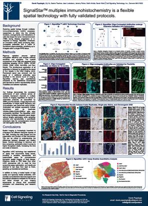 SignalStarTM-multiplex-immunohistochemistry-is-a-flexible-spatial-technology-with-fully-validated-protocols