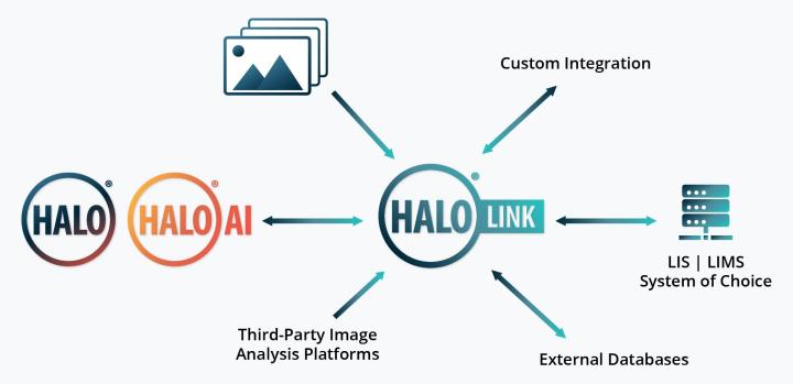 Integration-Deployment-HALO-Link.jpg