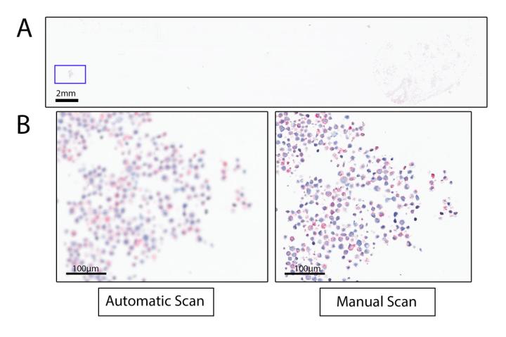 Aperio GT 450 manual scan of ISH cell pellet array