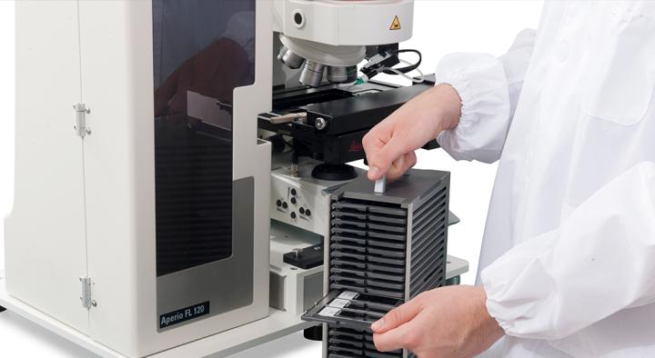 Exceptional-Ease-of-use-2