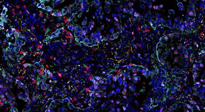 Extensive-Flexibility-750x410