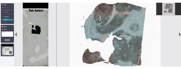 Visual-Intelligence-for-Smarter-Reviews