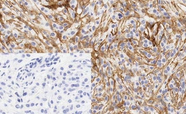 abcam-our-innovation-partners