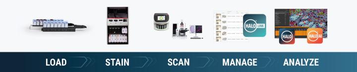 Leica Biosystems Chromogenic Staining Workflow Solutions for Translational Research