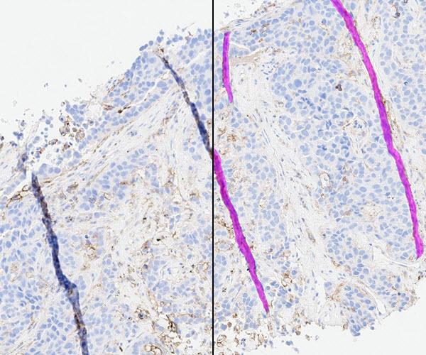 QC-Feature-Image-Split_600x500