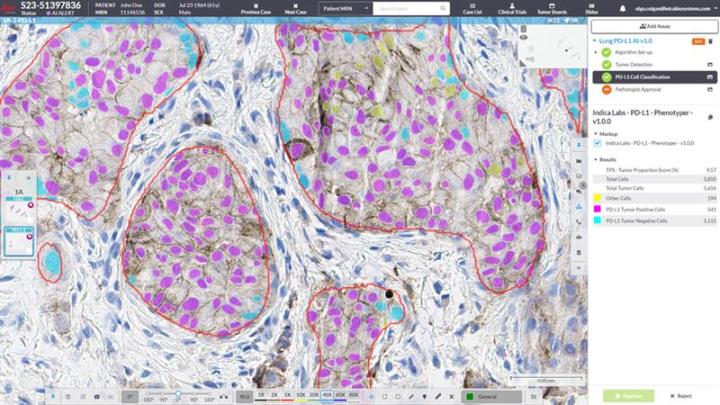 An AI-Ready Pathology Ecosystem