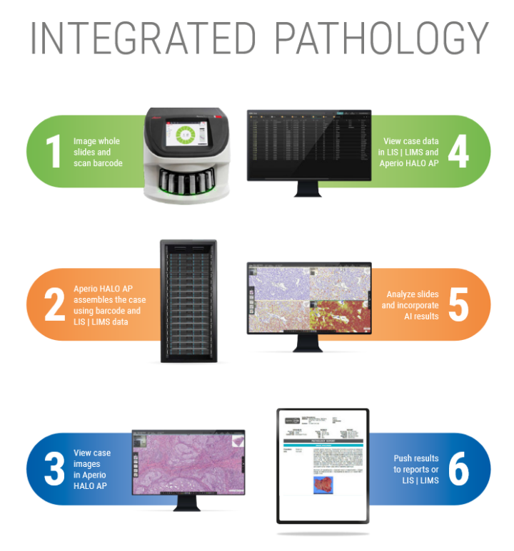 Aperio-halo-Integrated-Pathology-RUO