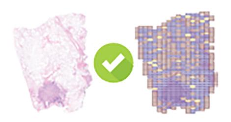 Automatic-image-quality-control