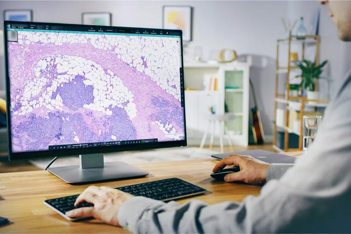 HALO-AP-Dx-Real-time-Conferencing