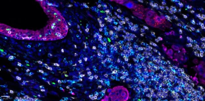 ProximityScope-Stain